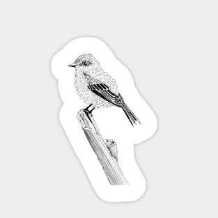 Vermillion Flycatcher Bird Sticker